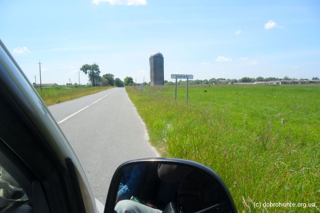 Вид из машины