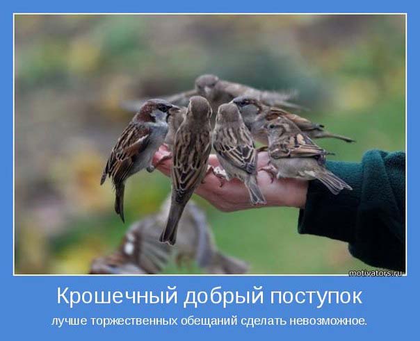 милосердие милосердие