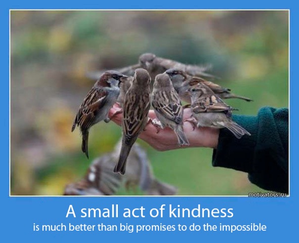 miloserdie miloserdie